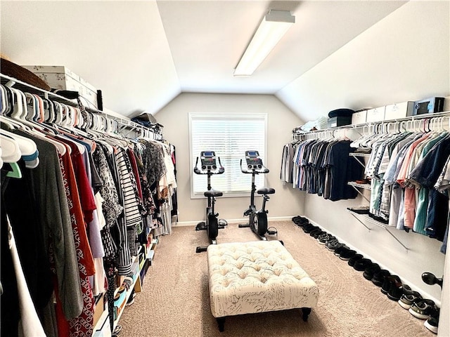 4745 Belcrest Way, Cumming, GA 30040 - walk in closet with carpet and vaulted ceiling