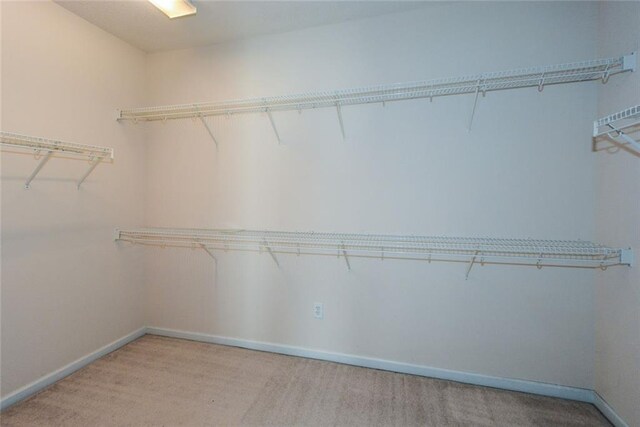 spacious closet with light carpet