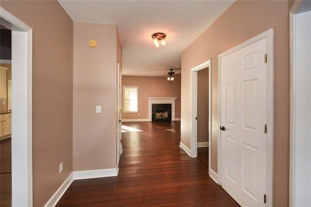 hallway featuring dark wood-type flooring