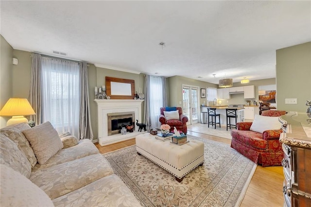 living room featuring light hardwood / wood-style flooring, a healthy amount of sunlight, and sink