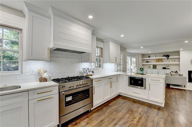 kitchen with dark hardwood / wood-style floors, custom range hood, appliances with stainless steel finishes, tasteful backsplash, and white cabinetry