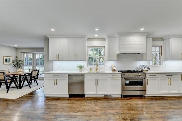 kitchen with appliances with stainless steel finishes, a wealth of natural light, dark wood-type flooring, and sink