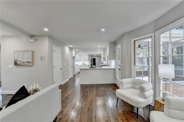 living room with dark hardwood / wood-style flooring