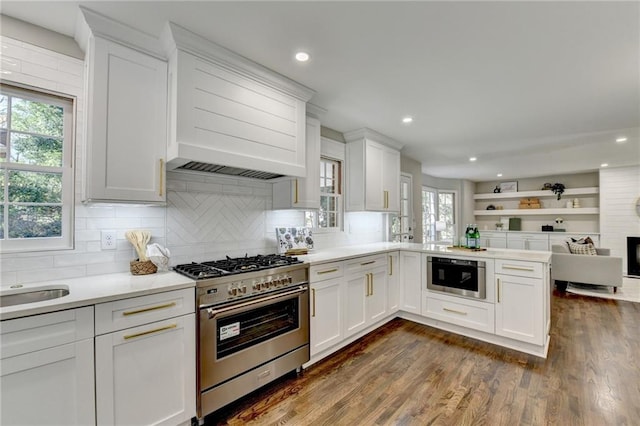 kitchen featuring white cabinetry, dark wood-type flooring, stainless steel appliances, tasteful backsplash, and premium range hood