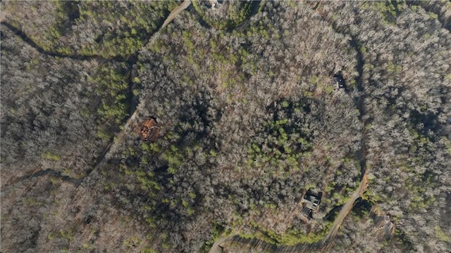 0 Harris Creek Dr, Ellijay GA, 30540 land for sale