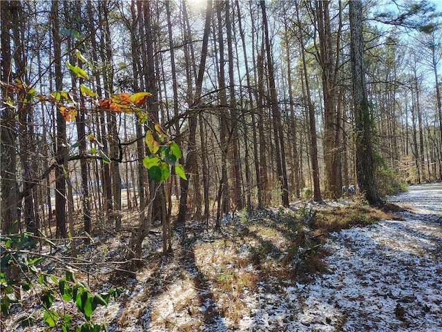 view of nature