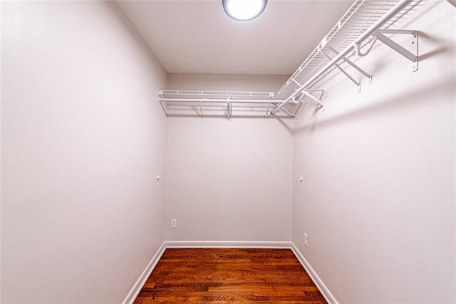 spacious closet featuring wood finished floors