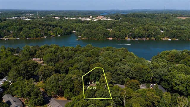 aerial view with a water view and a view of trees