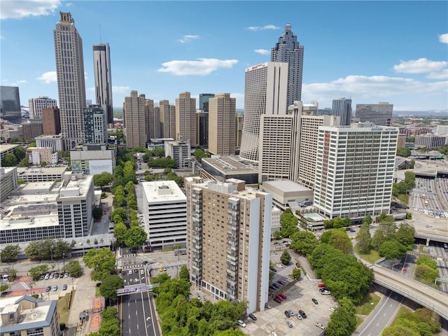 215 Piedmont Ave NE Unit 506, Atlanta, GA 30308 - city view