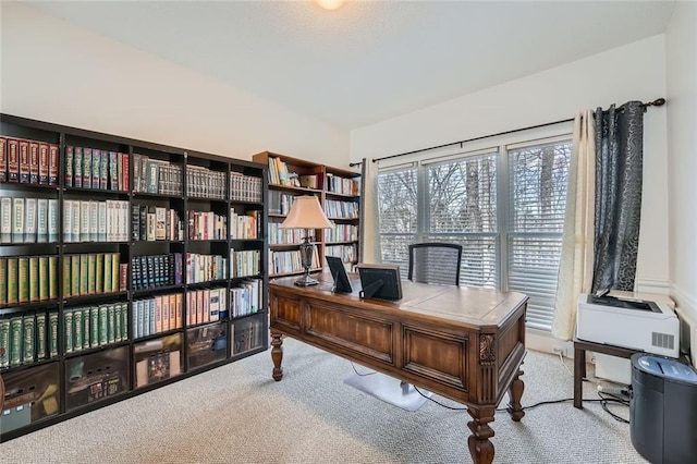 office area featuring light colored carpet