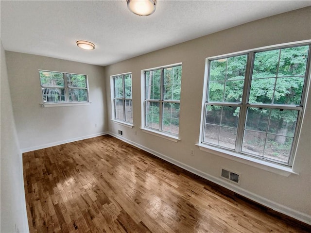 empty room with a wealth of natural light and wood-type flooring