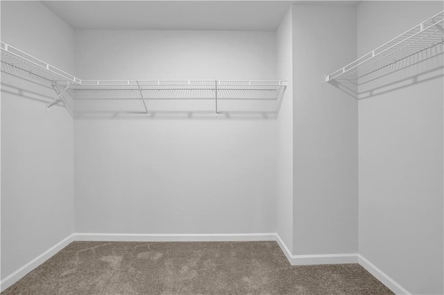 spacious closet with carpet