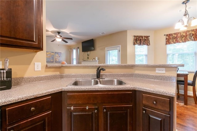 12275 Styron Dr, Hampton, GA 30228 - kitchen with a sink, dark brown cabinetry, plenty of natural light, and a ceiling fan