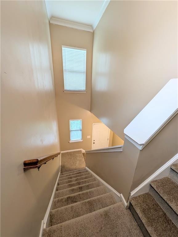 staircase with carpet flooring, crown molding, baseboards, and healthy amount of natural light
