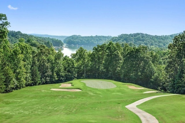 803 Night Fire Dr, Dawsonville, GA 30534 - view of home's community with a view of trees, a water view, and view of golf course