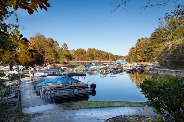 803 Night Fire Dr, Dawsonville, GA 30534 - view of dock with a forest view and a water view