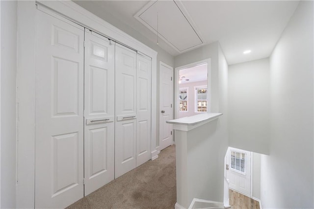 hallway with light carpet, visible vents, attic access, and baseboards