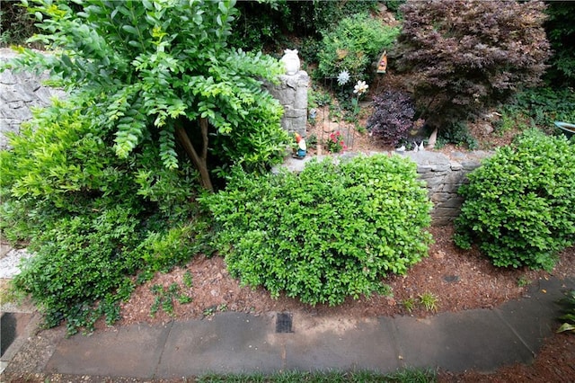 3833 Savannah Sq E, Atlanta, GA 30340 - view of yard