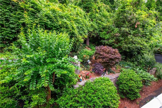 3833 Savannah Sq E, Atlanta, GA 30340 - view of yard