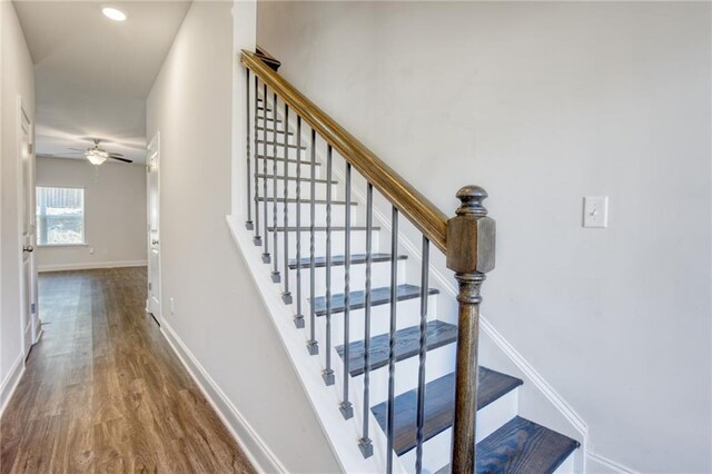 staircase featuring hardwood / wood-style floors and ceiling fan