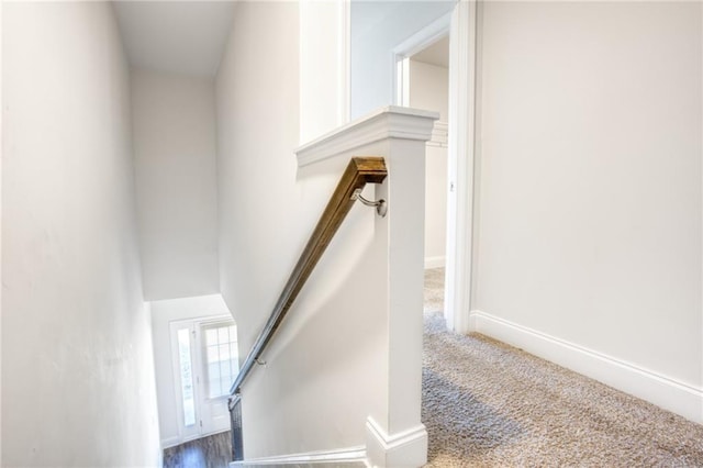 staircase featuring carpet floors