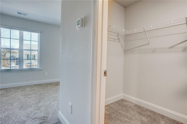 spacious closet featuring light carpet