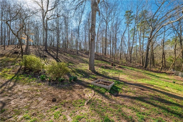 view of yard with a vegetable garden