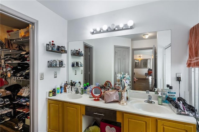 bathroom with a sink, a spacious closet, and double vanity