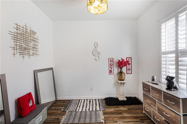 miscellaneous room featuring baseboards and dark wood-style flooring