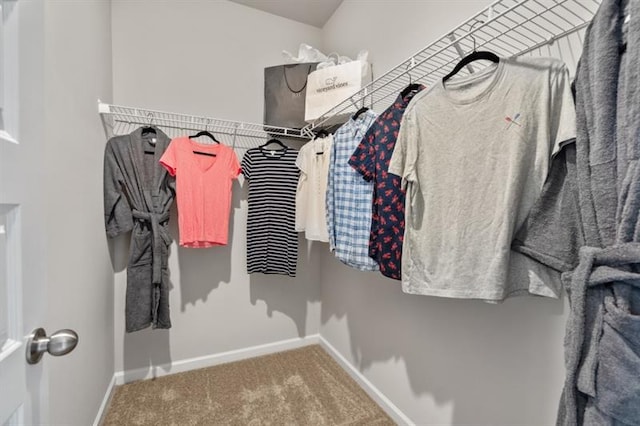 walk in closet featuring carpet flooring