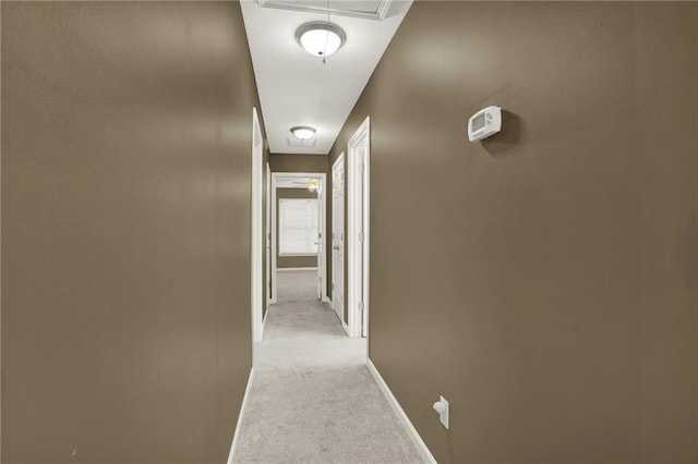 hallway with light colored carpet