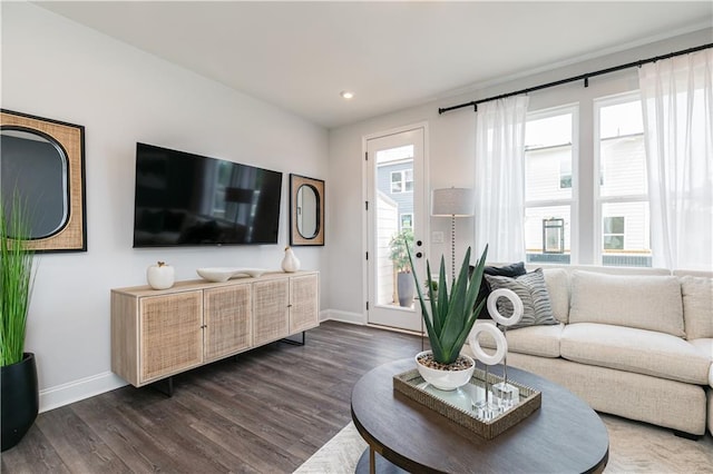 living area featuring baseboards, plenty of natural light, and dark wood-type flooring