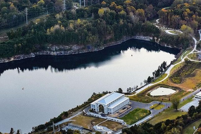 birds eye view of property featuring a view of trees and a water view