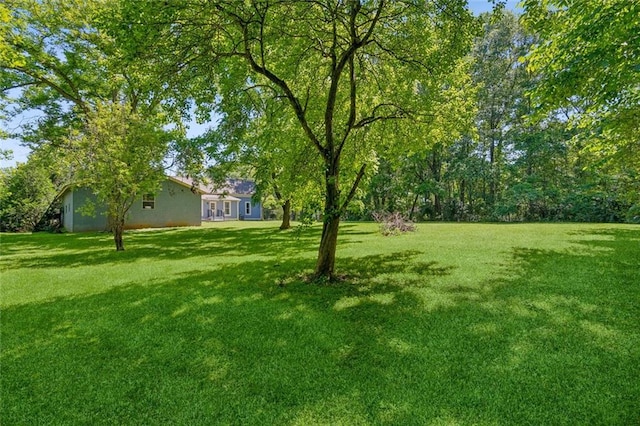 1382 6th Ave, Auburn, GA 30011 - view of grassy yard
