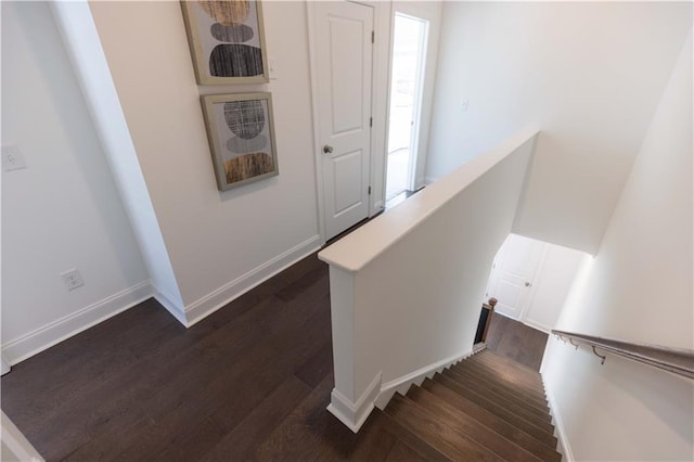 stairs with hardwood / wood-style floors