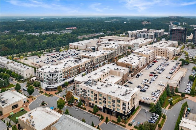 11715 Dancliff Trce, Alpharetta, GA 30009 - aerial view