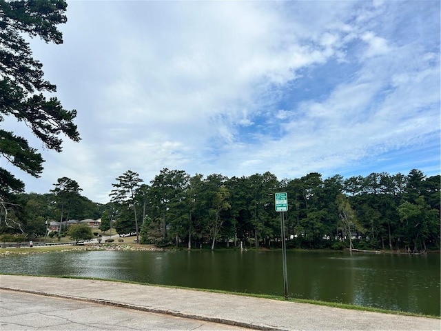 2203 Hillcrest Ave, Decatur, GA 30032 - water view