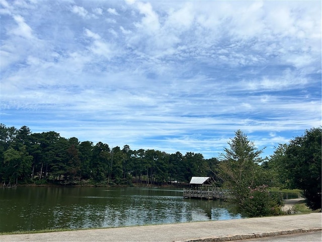 2203 Hillcrest Ave, Decatur, GA 30032 - water view