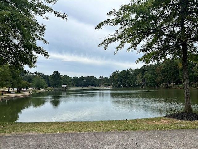 2203 Hillcrest Ave, Decatur, GA 30032 - view of water feature