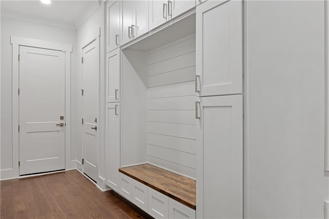 mudroom featuring crown molding and dark hardwood / wood-style floors