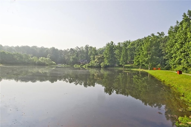 view of water feature