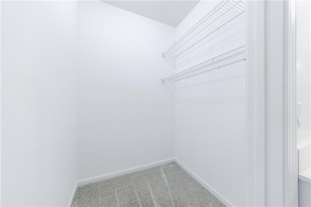 spacious closet with carpet