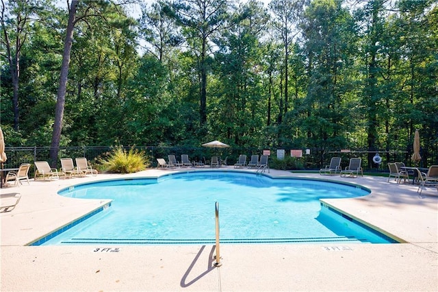 view of swimming pool featuring a patio