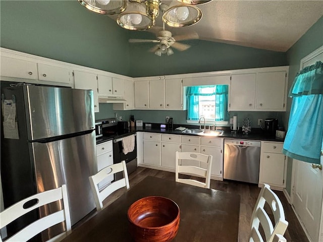 14 Green Gable Pt SW, Cartersville, GA 30120 - kitchen featuring appliances with stainless steel finishes, under cabinet range hood, lofted ceiling, dark wood-style flooring, and dark countertops