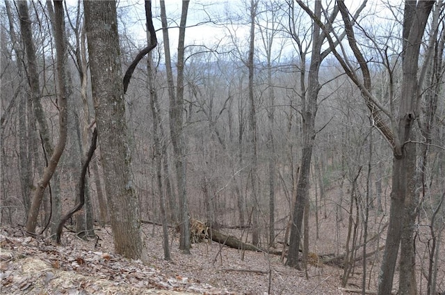 3012 Wild Turkey Blf, Big Canoe, GA 30143