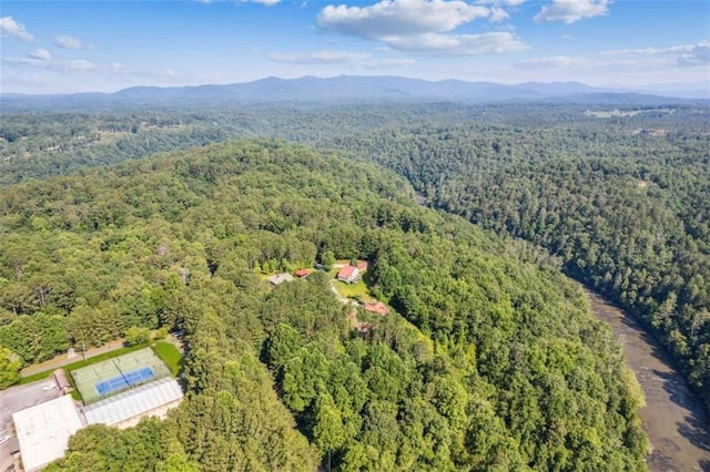 0 Pacer Ct, Ellijay, GA 30540