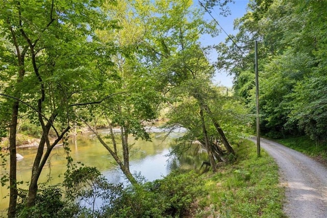 0 Pacer Ct, Ellijay, GA 30540