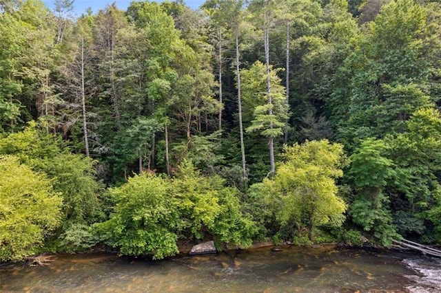 0 Pacer Ct, Ellijay, GA 30540