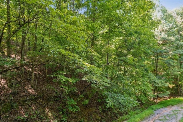 0 Pacer Ct, Ellijay, GA 30540