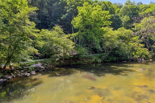 0 Pacer Ct, Ellijay, GA 30540